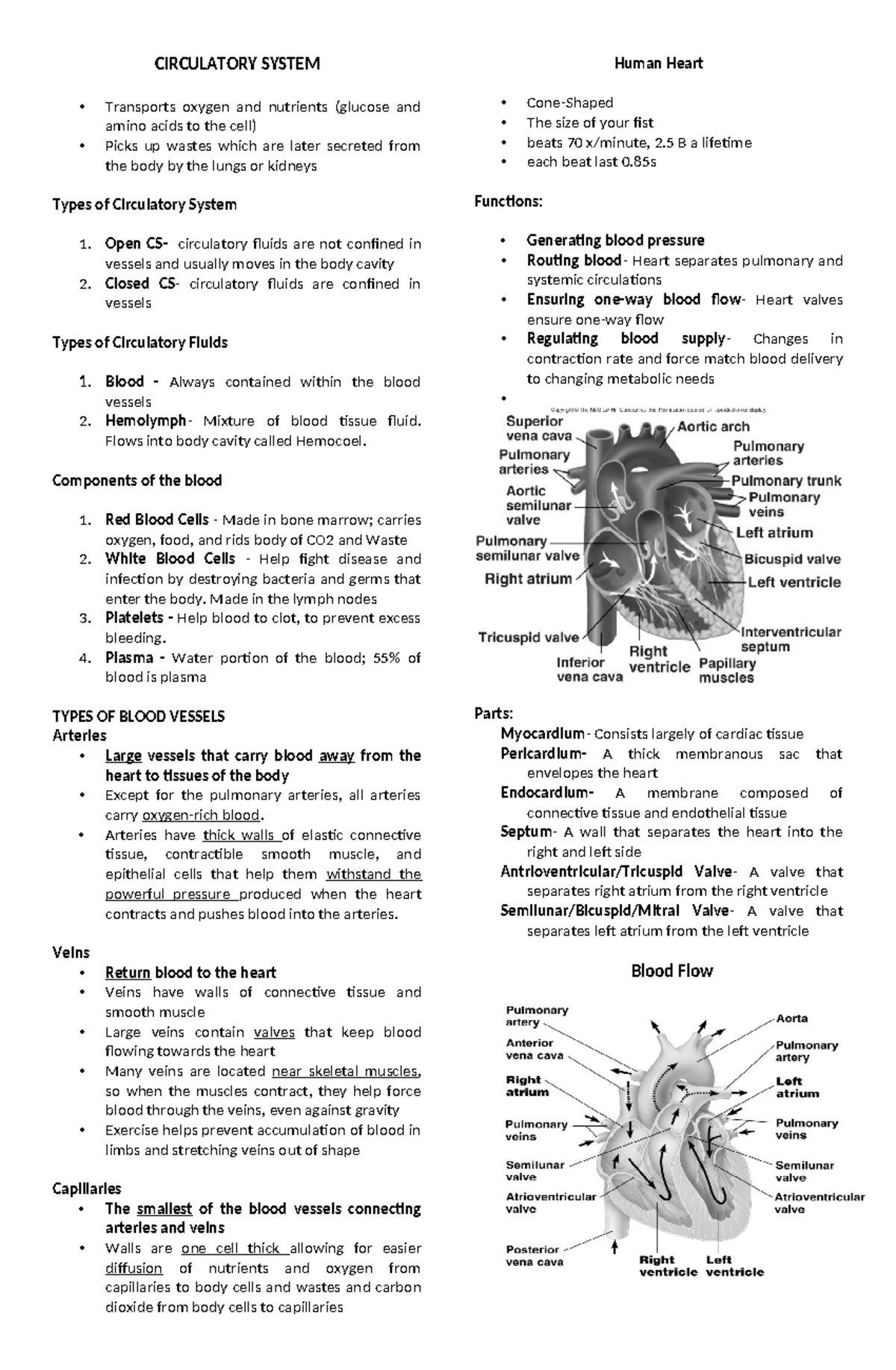 CIRC 101: Overview of the Human Circulatory System - Studocu