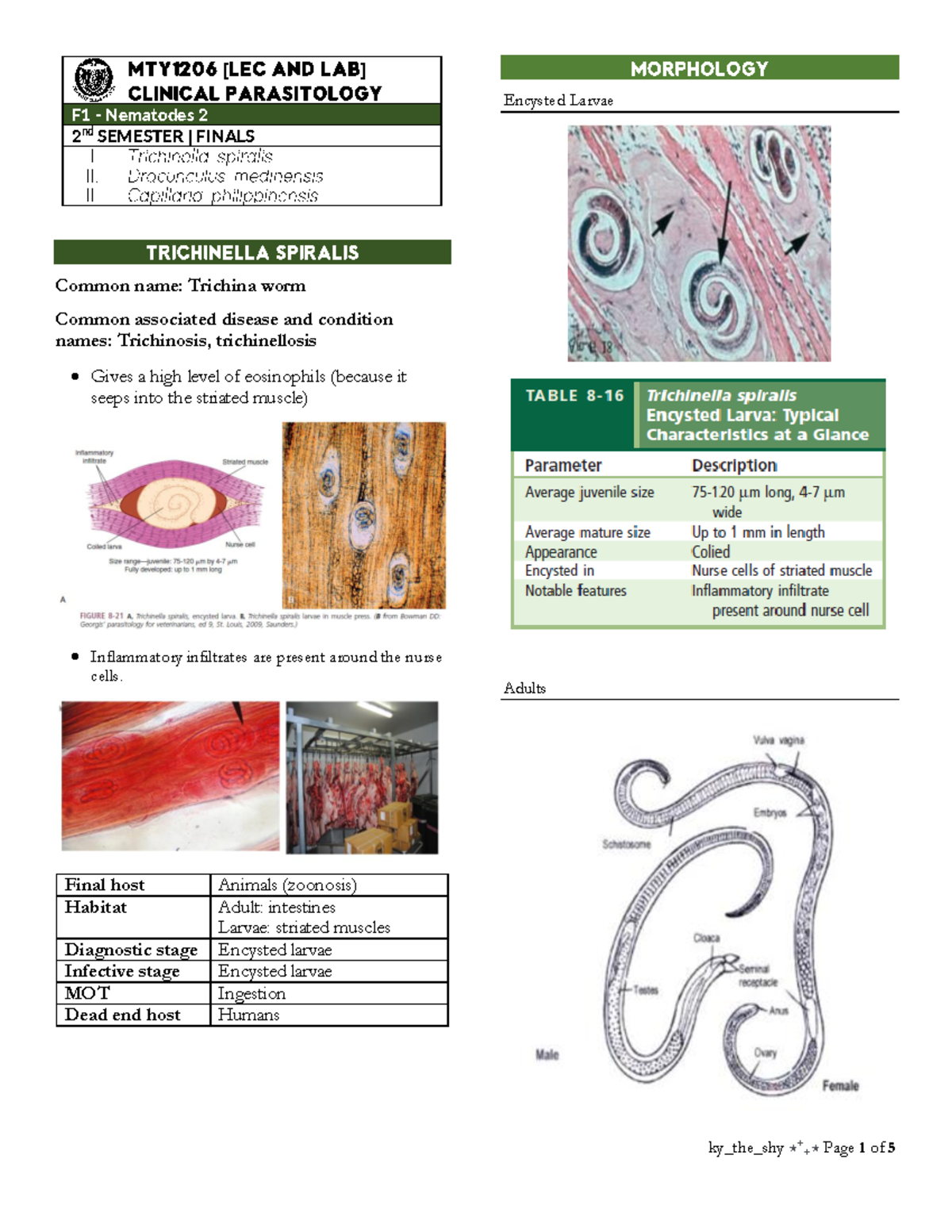 Clinical Parasitology (Finals F1, F3) Summary and Key Topics - Studocu