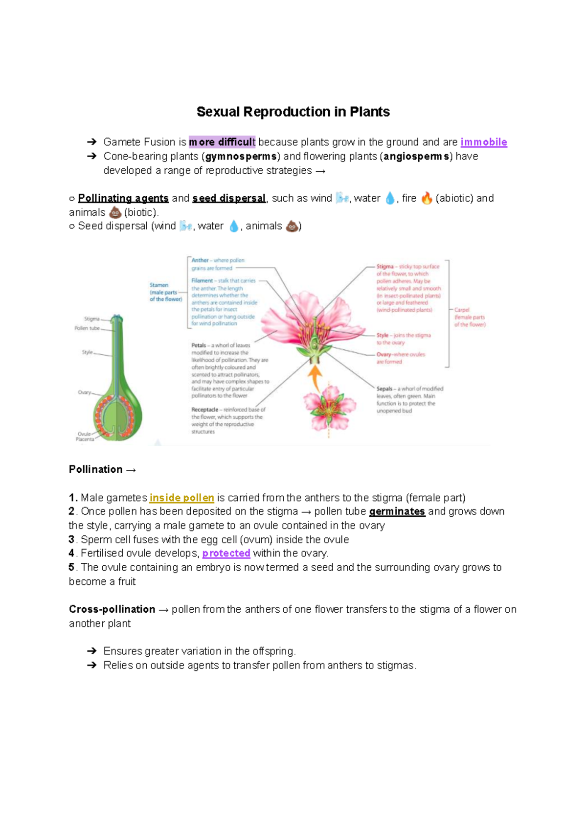 Sexual Reproduction in Plants: Gamete Fusion & Pollination Strategies ...