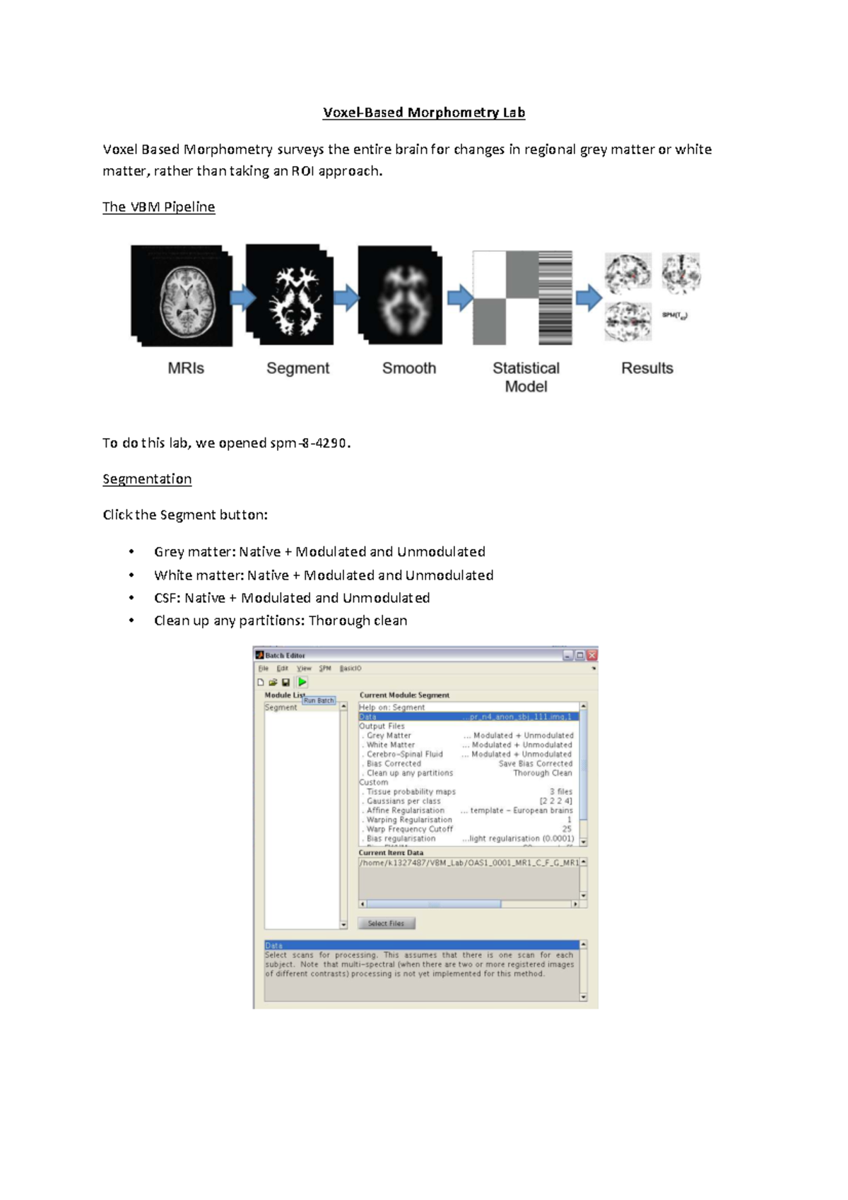 Morphometry Lab: VBM Analysis of Grey Matter Changes - Studocu