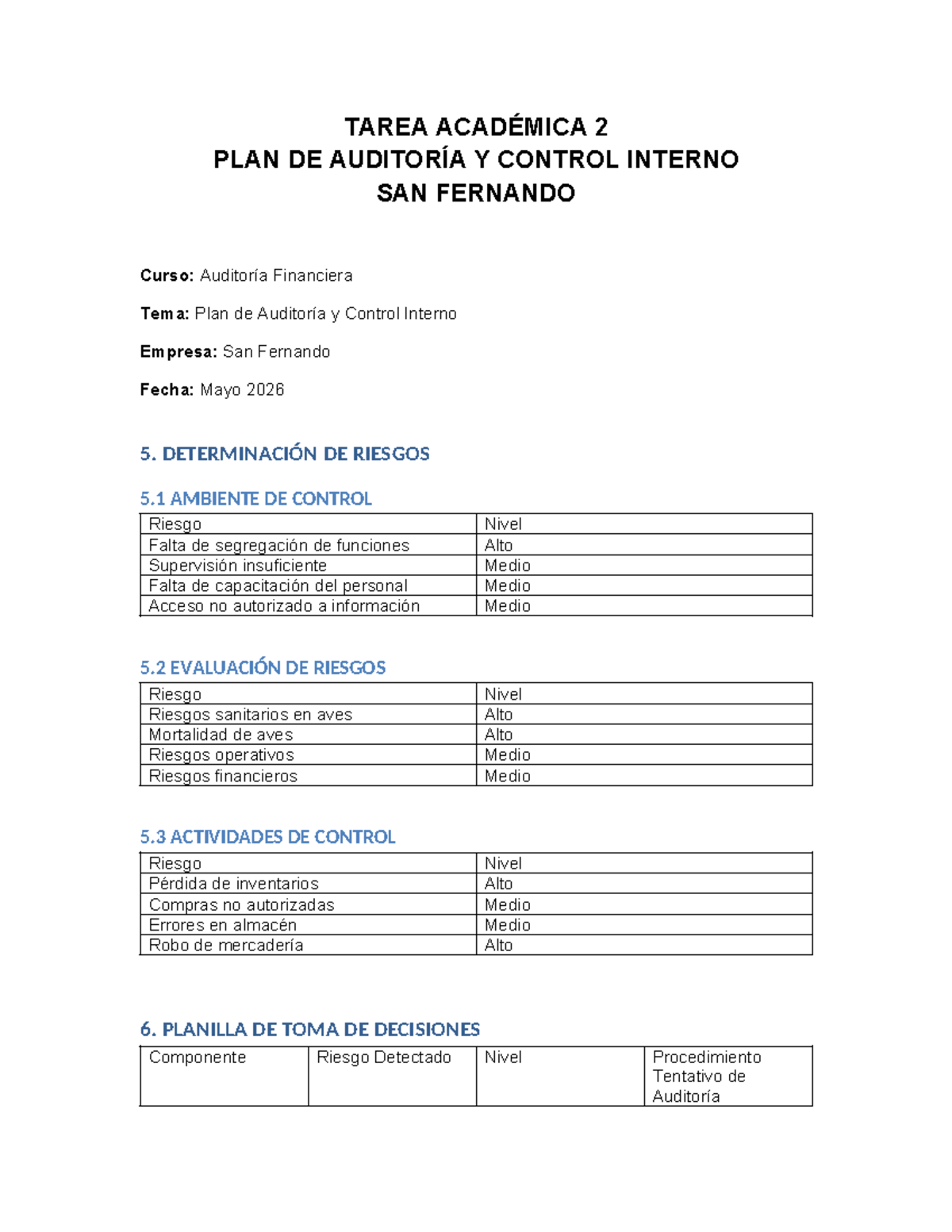 TAREA ACADÉMICA 2: Plan de Auditoría y Control Interno - San Fernando ...