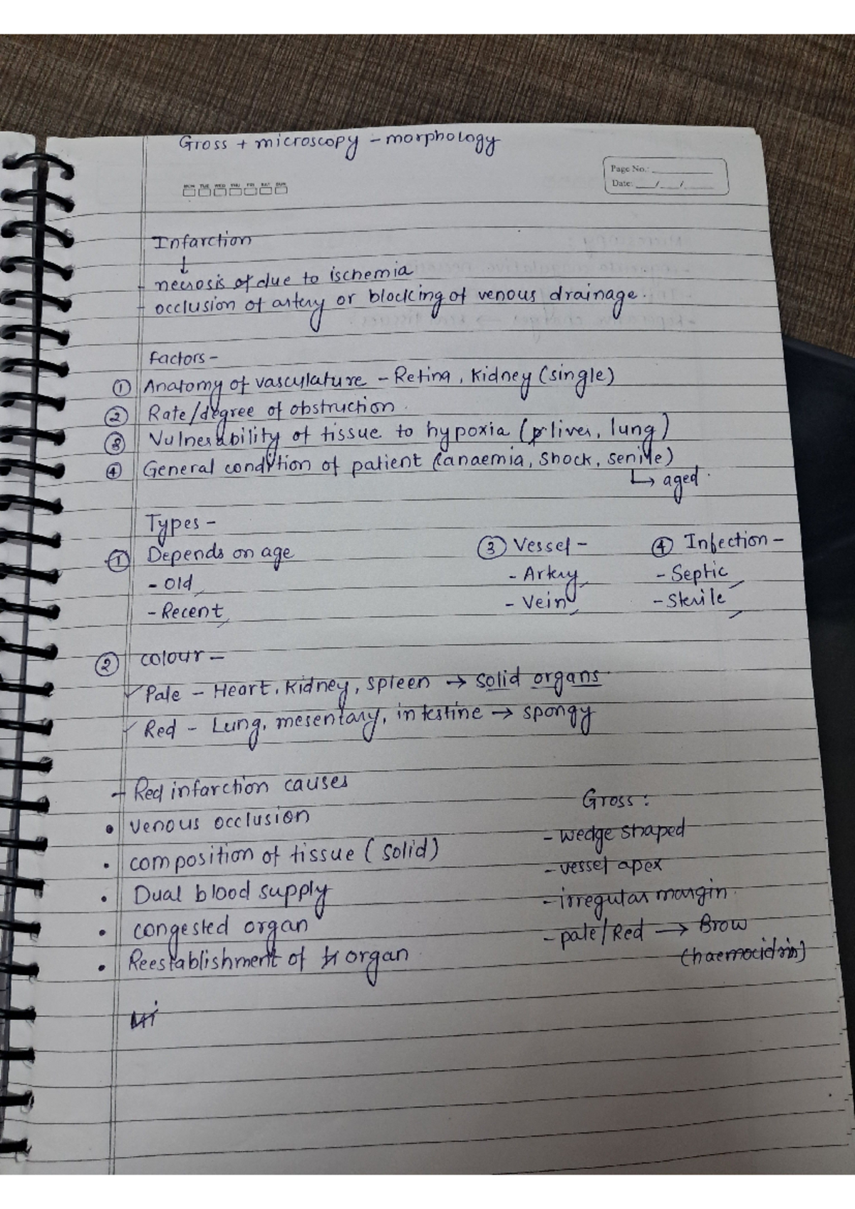 Ischemia and Infarction Notes: Key Morphological Insights - Studocu