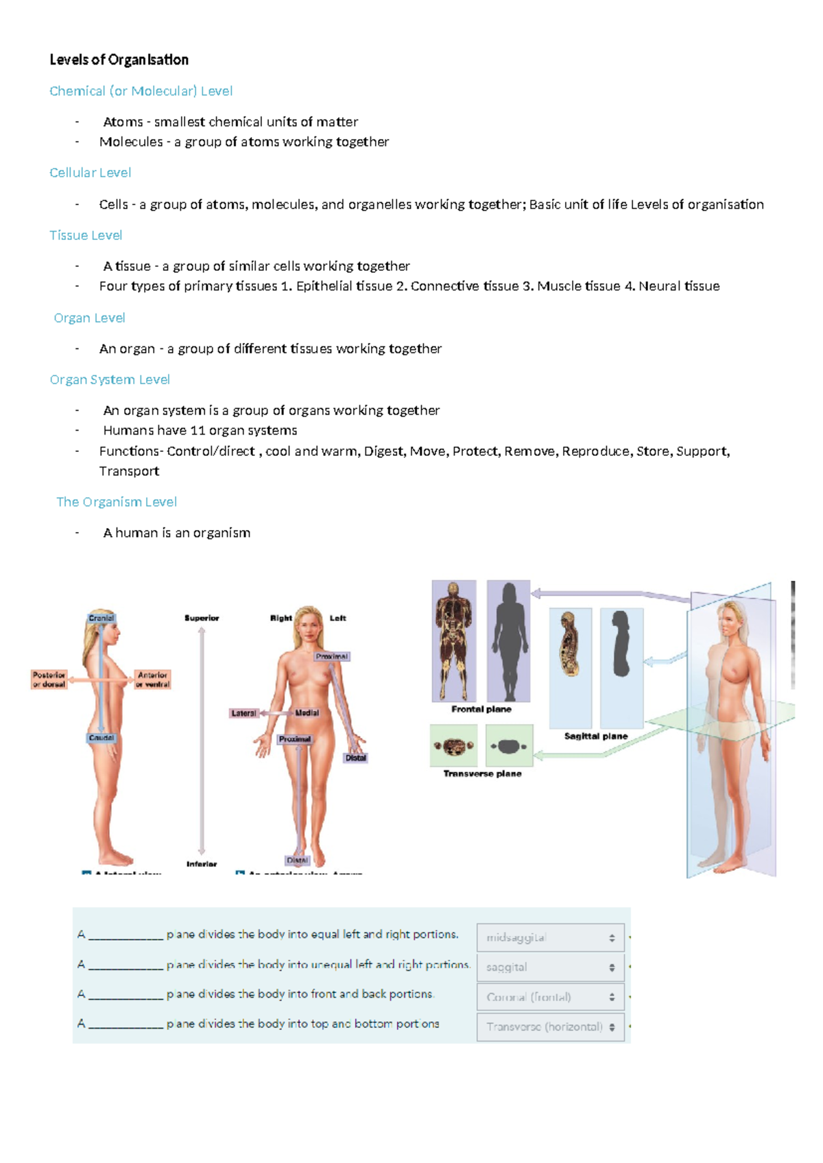Biology Notes: Levels of Organization and Cellular Functions (BIO101 ...