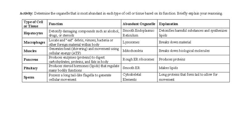 Organelle Function Analysis Sheet for Cell Types and Tissues - Studocu