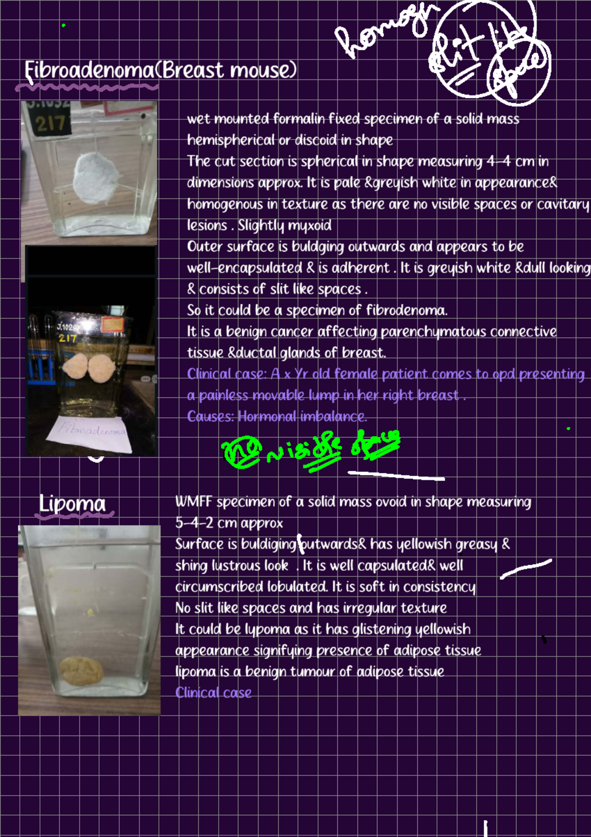 Pathology Specimen Identification: Detailed Analysis and Findings - Studocu