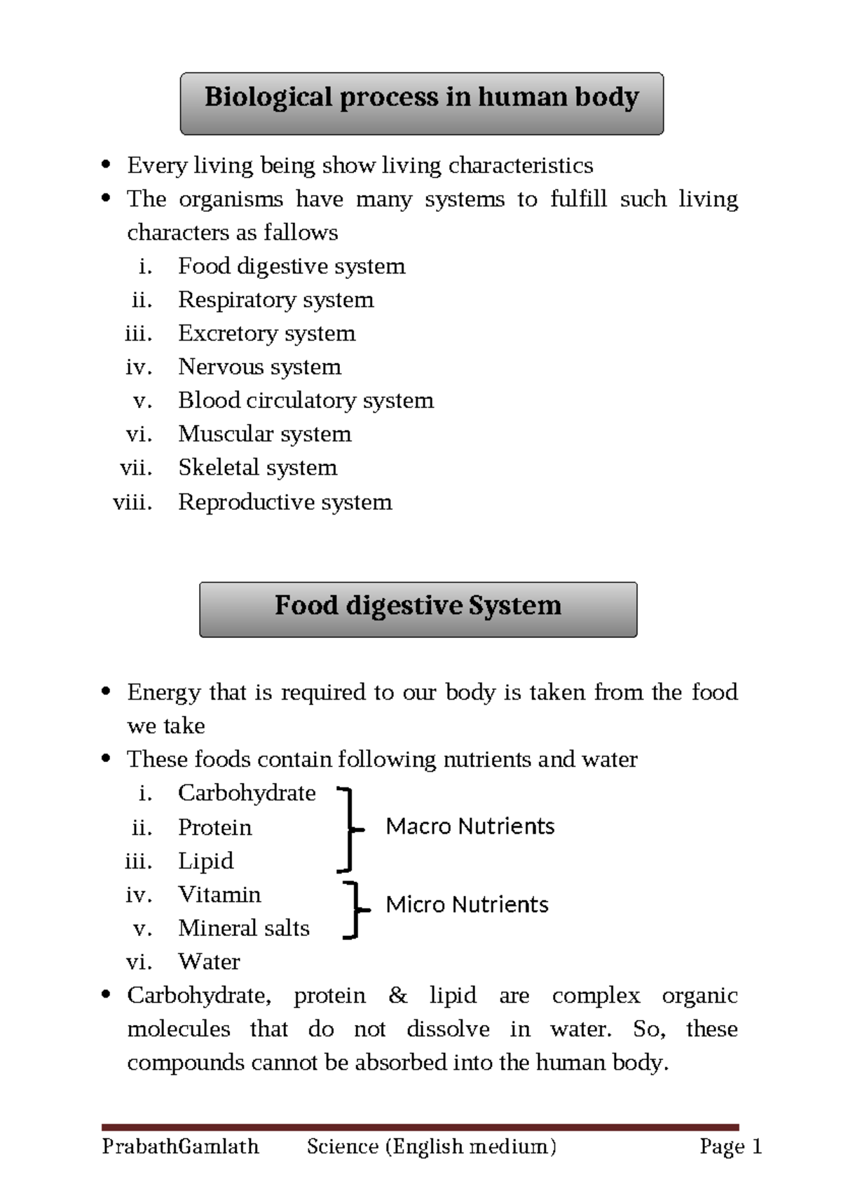 Biological Processes in the Human Body: Digestive & Respiratory Systems ...