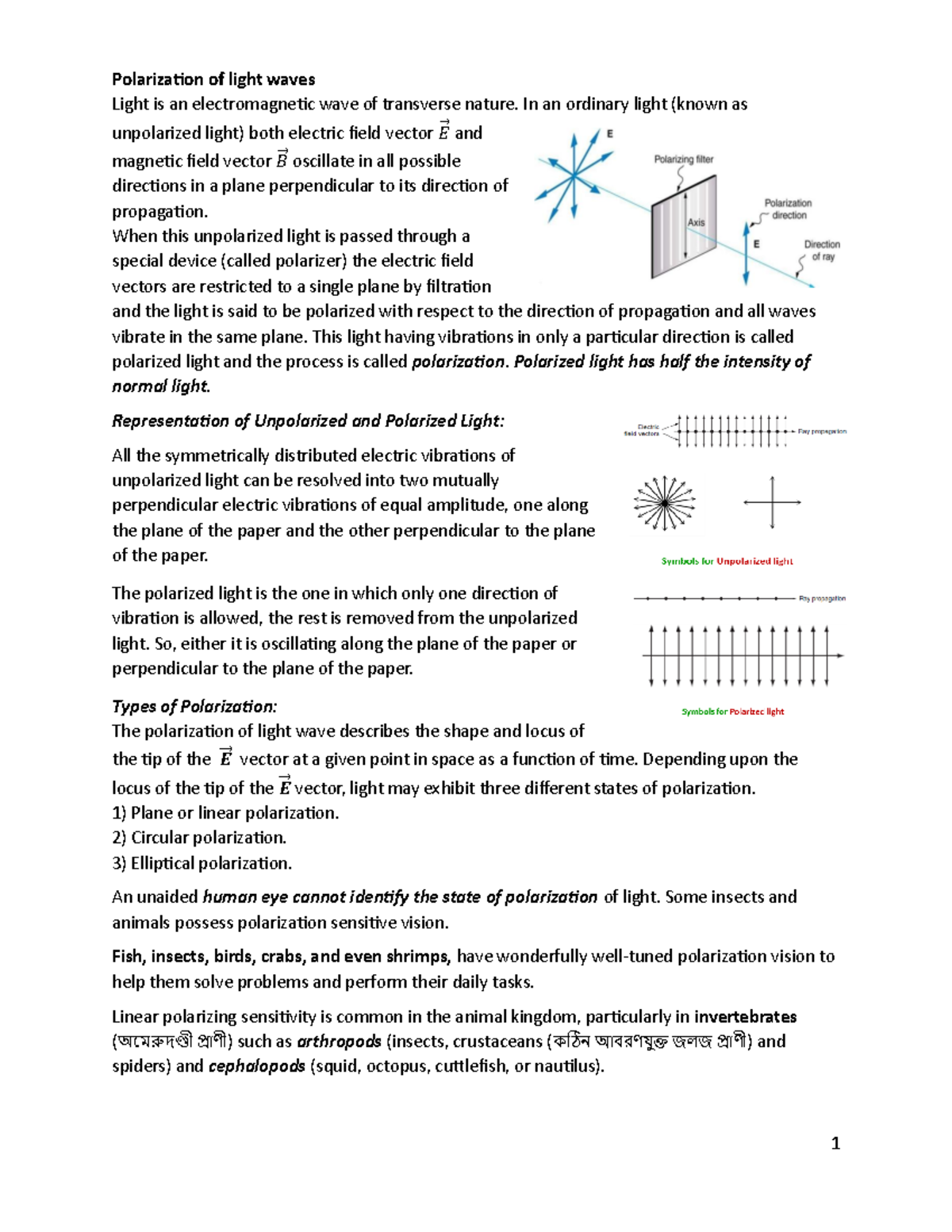 Polarization of Light Waves: Understanding Light's Electromagnetic ...