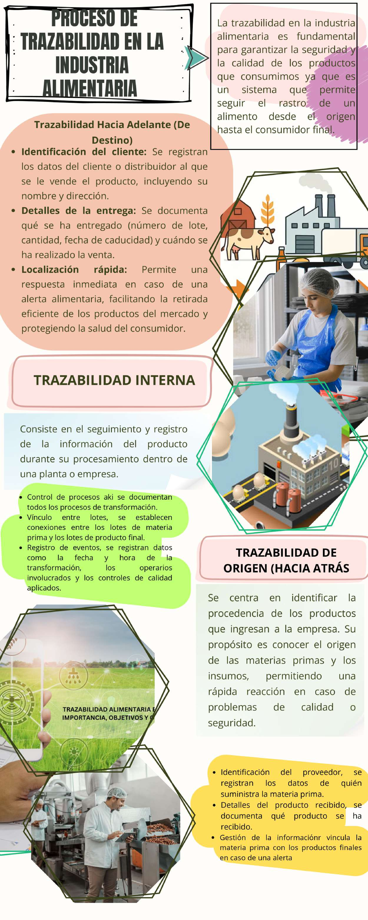 Trazabilidad en la Industria Alimentaria: Importancia y Objetivos - Studocu