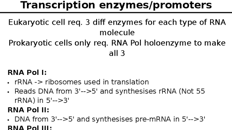 Transcription Enzymes & Promoter Sequences in Eukaryotes - Studocu