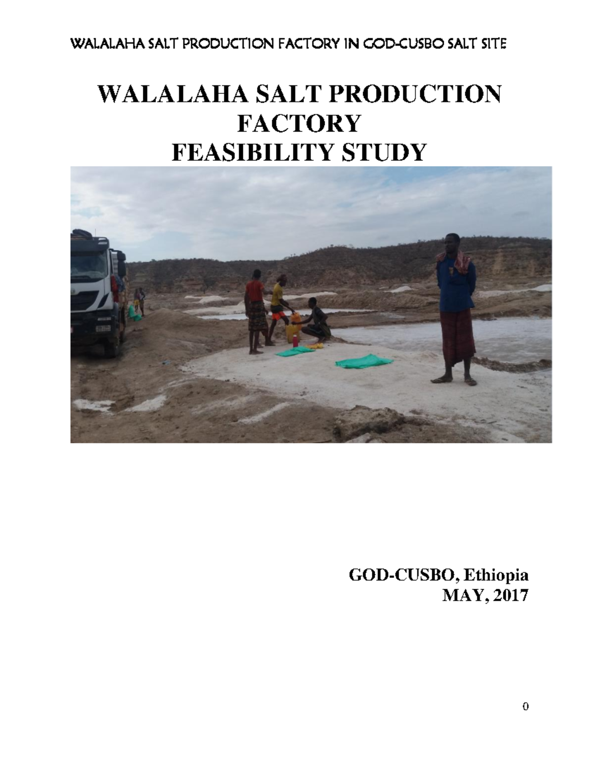 Final Feasibility Study on Iodized Salt Production in God-Cusbo - Studocu