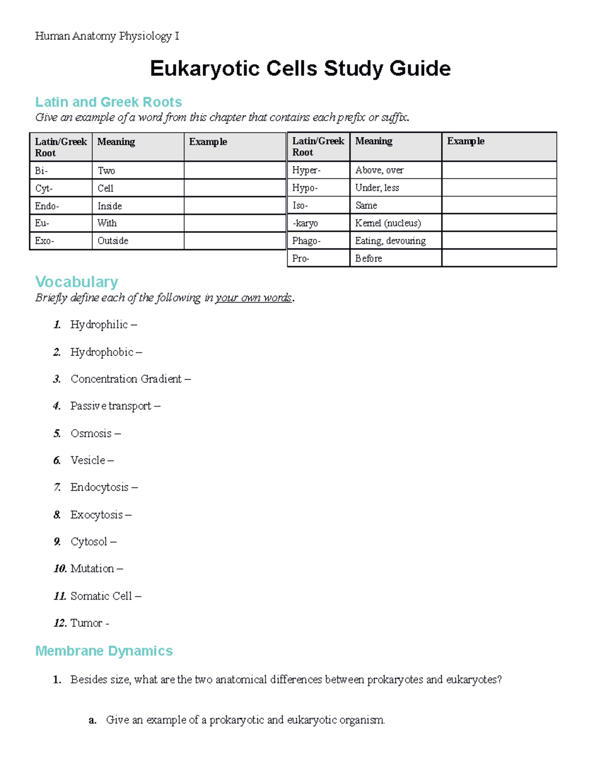CEF - Study Guide for Human Anatomy Physiology I: Eukaryotic Cells ...