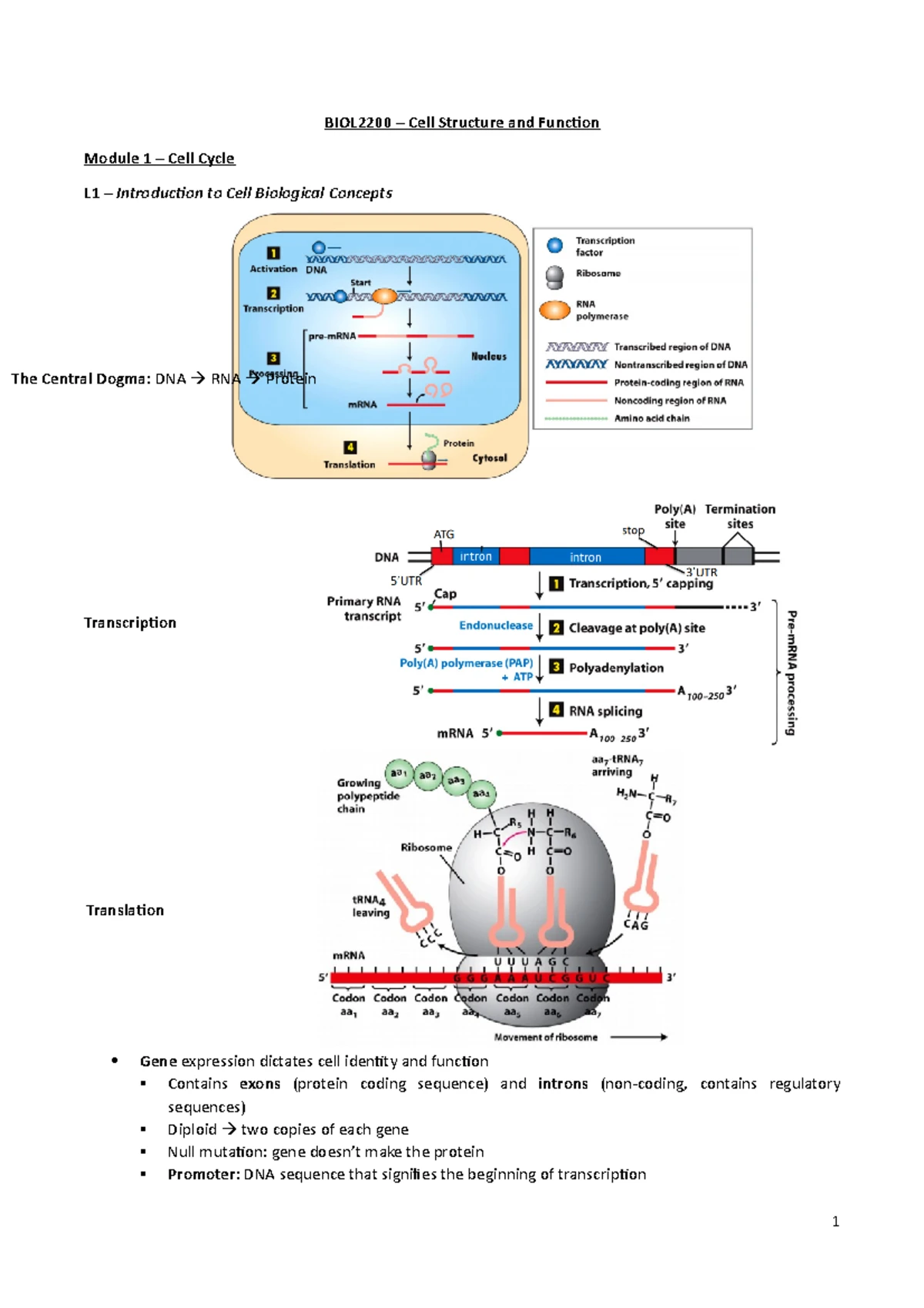 BIOL2200 Module 2: Biomembranes - Structure, Transport, and Function ...