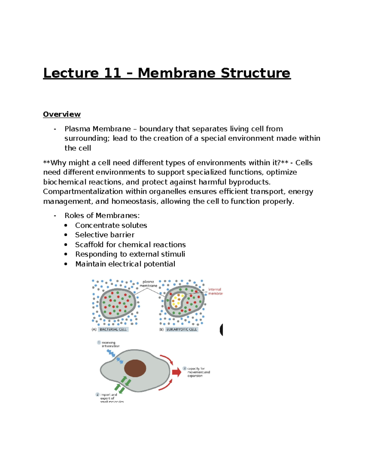 Midterm Exam Study Guide - Course Code [Insert Code] - Lecture 11 ...