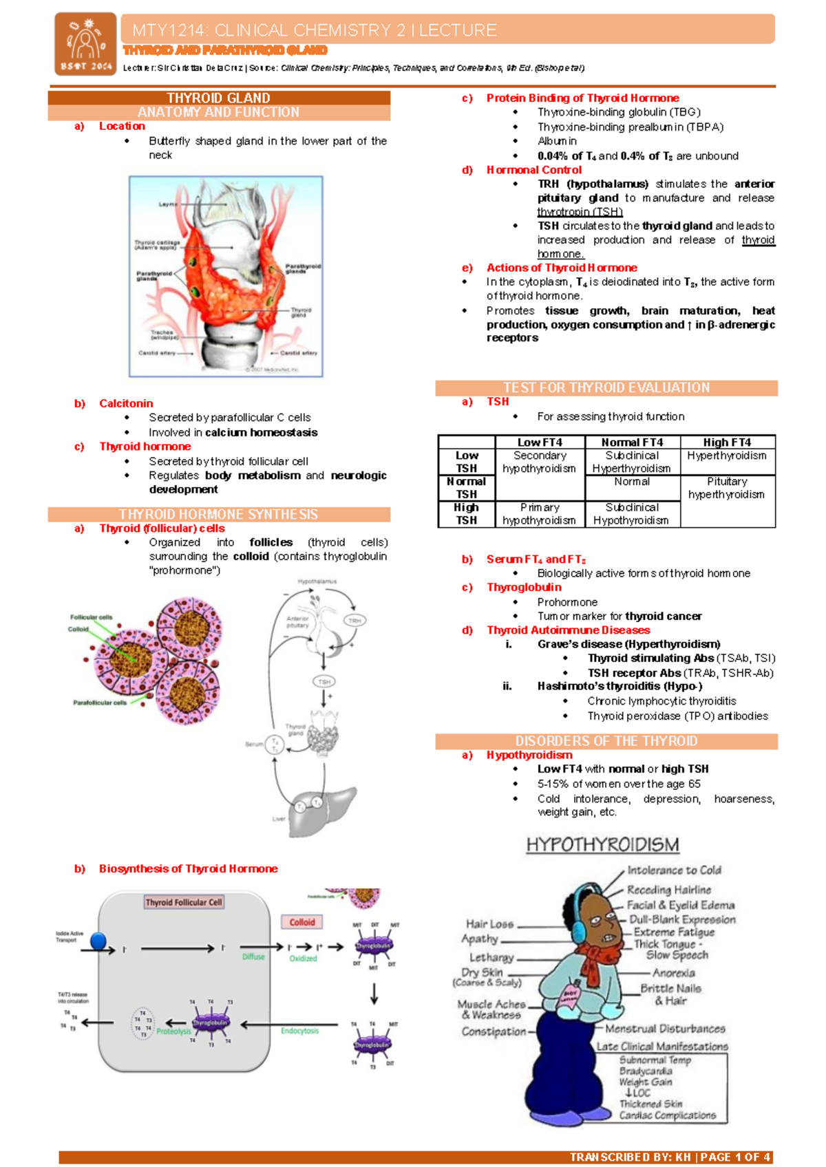 CC2LEC Thyroid AND Parathyroid - MTY 1214 : CLINICAL CHEMISTRY 2 ...