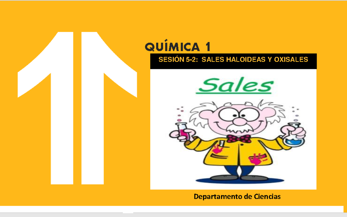 Sesion 5-2 Función Sales Haloideas Y Oxisales - Departamento de