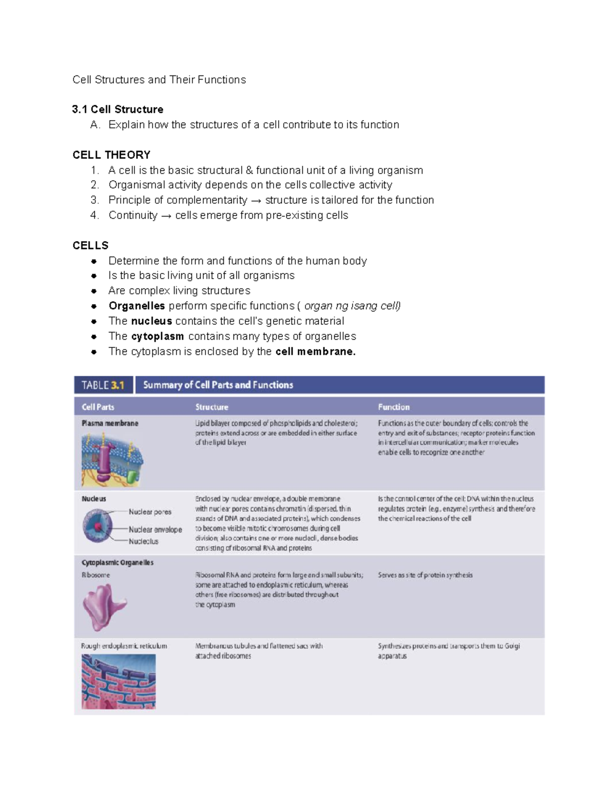 Chapter-3-Cells - Cell Structures and Their Functions 3 Cell Structure ...