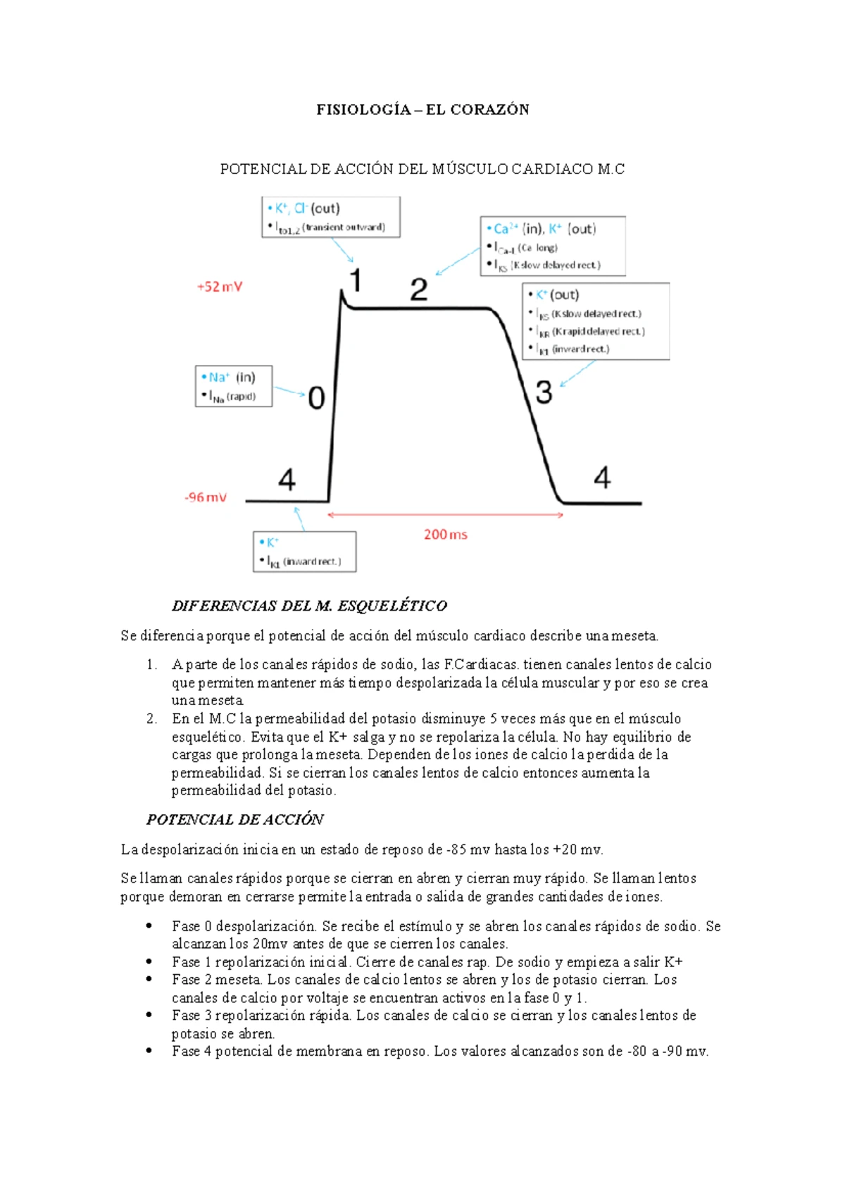 Fisiología DEL Corazón - CAP 9 Guyton - FISIOLOGÍA – EL CORAZÓN ...