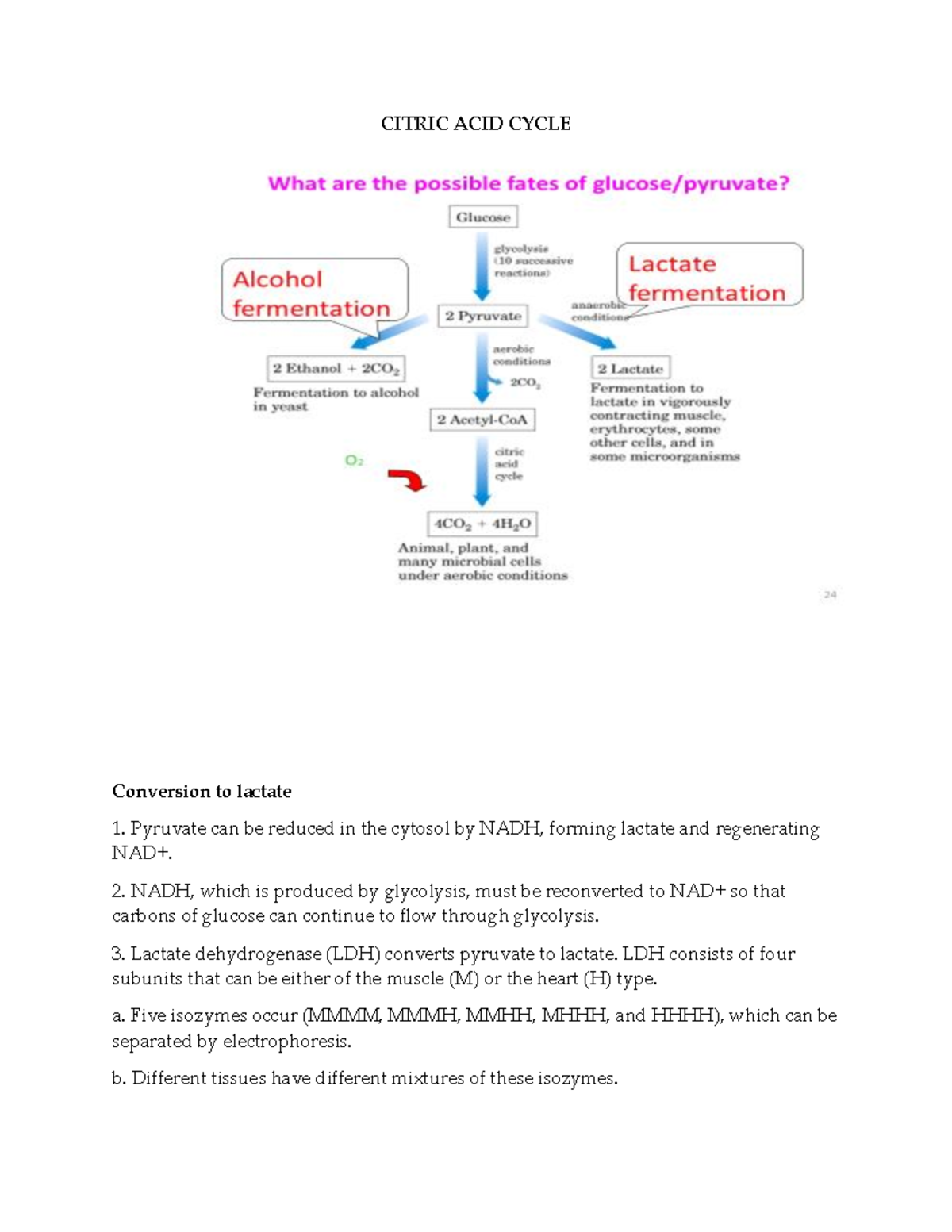 CITRIC ACID CYCLE: Metabolic Pathways and Energy Production - Studocu
