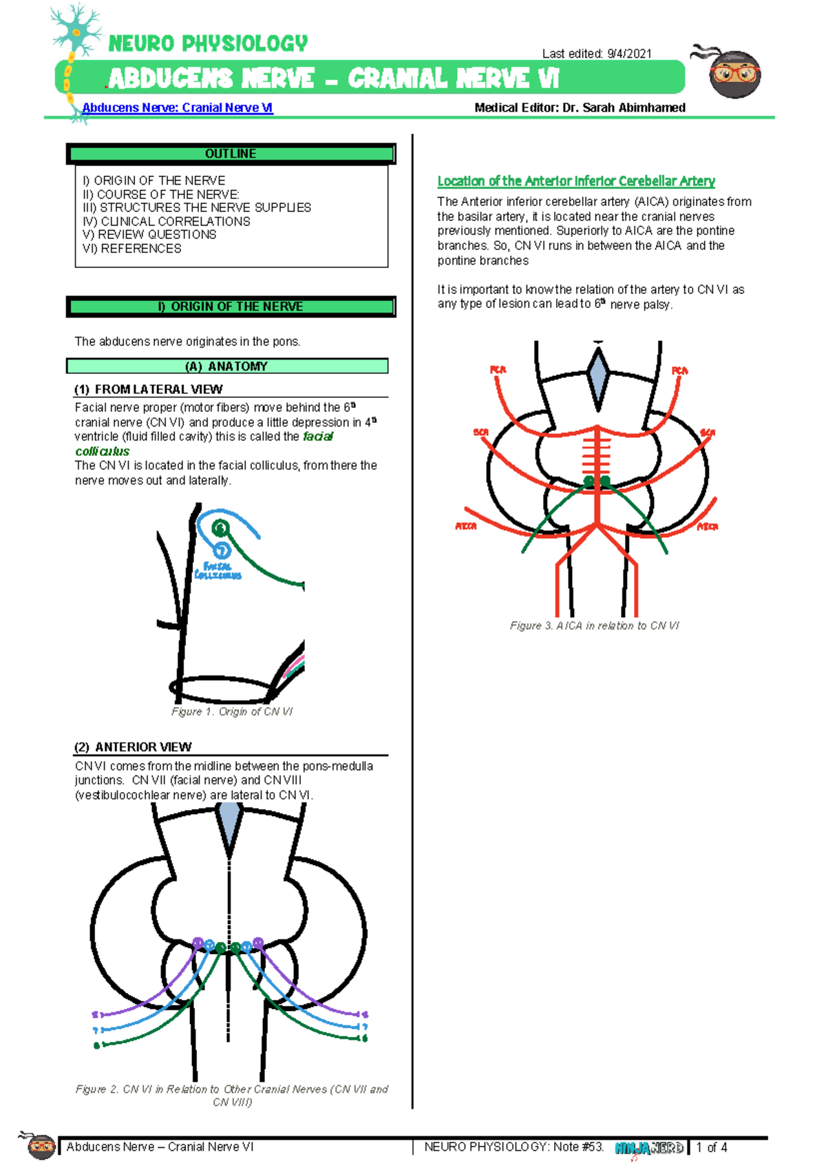 Abducens Nerve (CN VI) Overview: Anatomy, Course & Functions - Studocu
