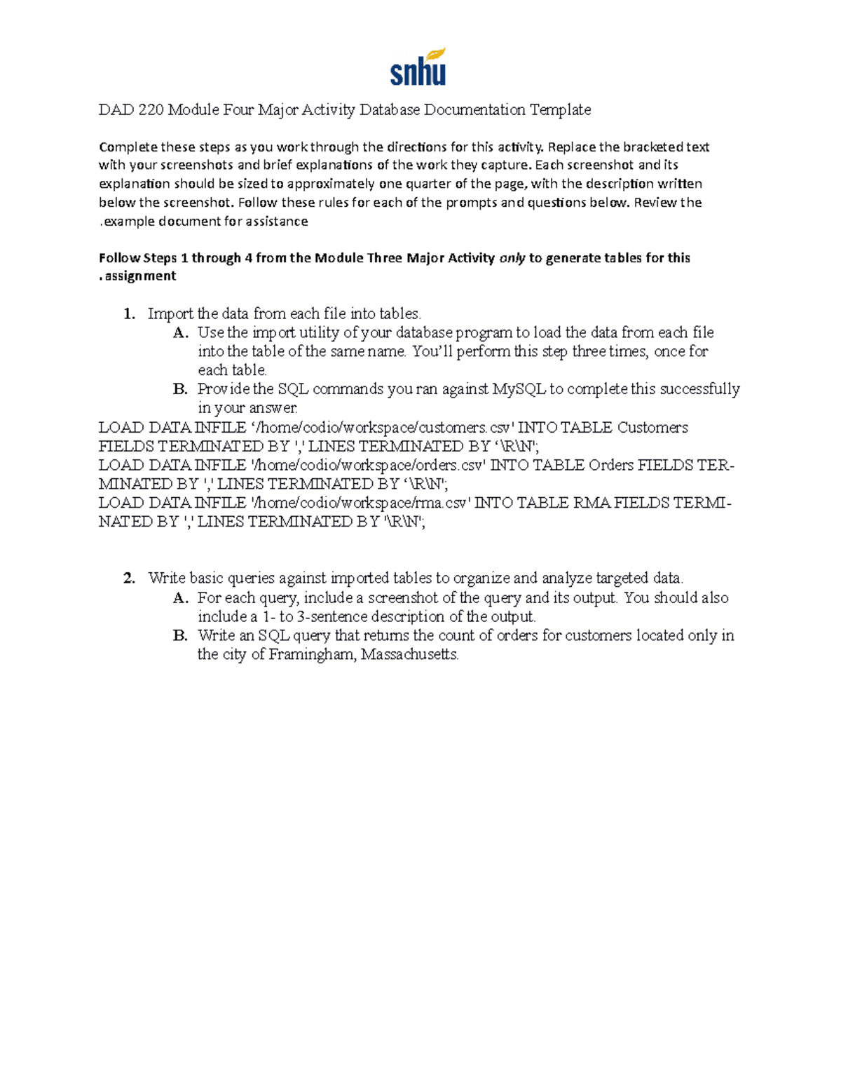 Activity Database Documentation Template DAD 220 Mod 4 Major Guide ...