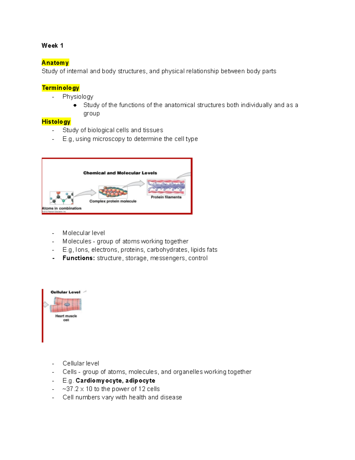 Bio Notes - Week 1 Anatomy Study of internal and body structures, and ...