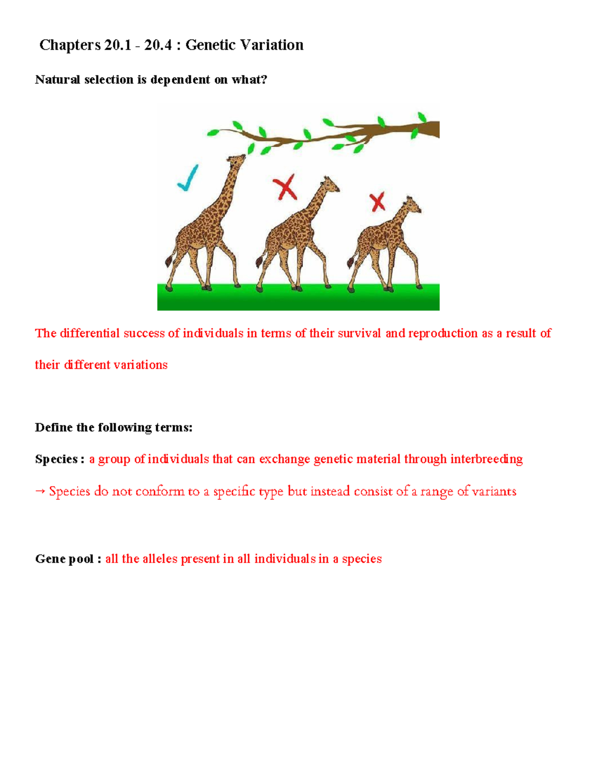 Variation In Different Species