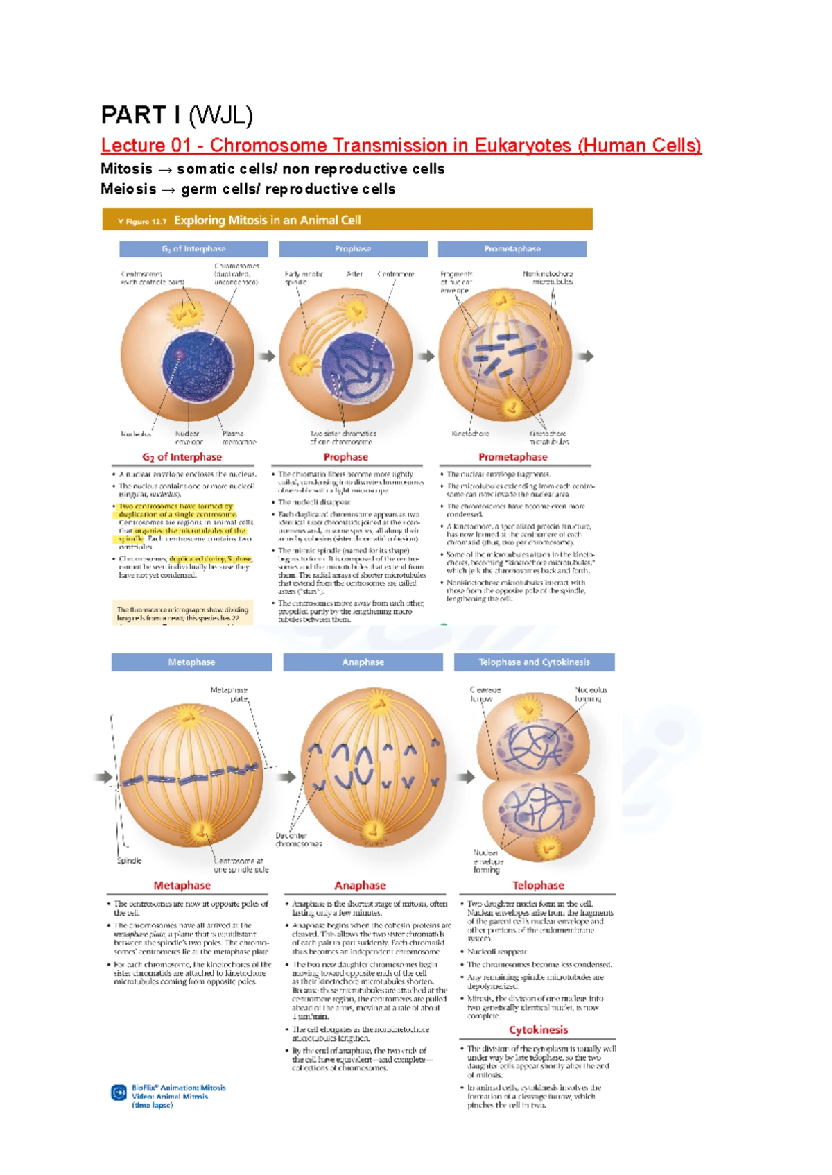 Patzel LSM3242 Translational Microbiology Lecture Notes 2025 - Studocu