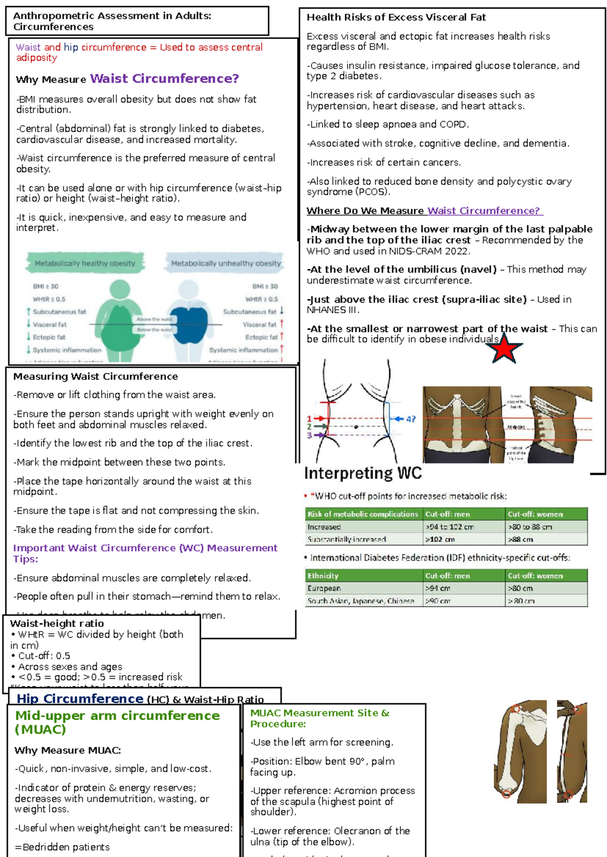 Anthropometric Assessment in Adults & Children: Health Risks of Fat ...