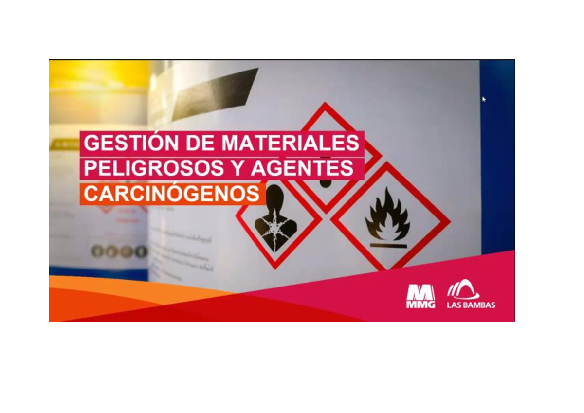 Gestión de Materiales Peligrosos y Riesgos Carcinógenos MMG LAS BAMBAS - Document Preview