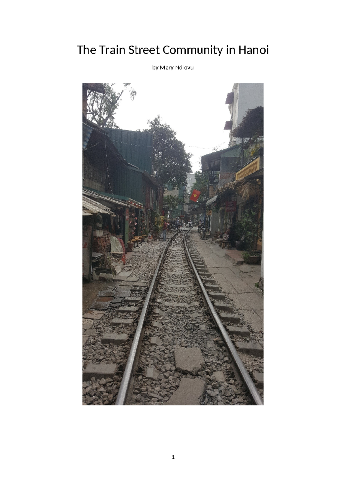Hanoi Train Street Community Report Template - Student Guide - Studocu