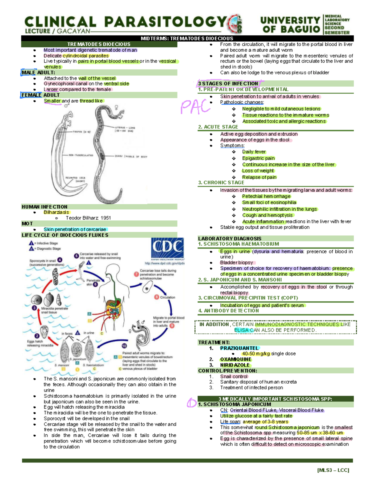 MIDTERM: DIOECIOUS TREMATODES AND CESTODES INFECTIONS - Studocu