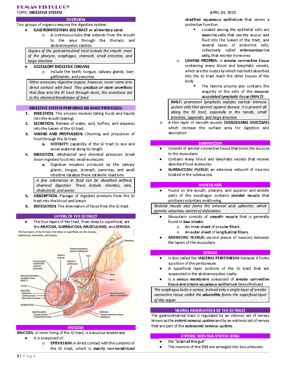 Histology - Digestive System Overview and Functions (HS 101) - Studocu