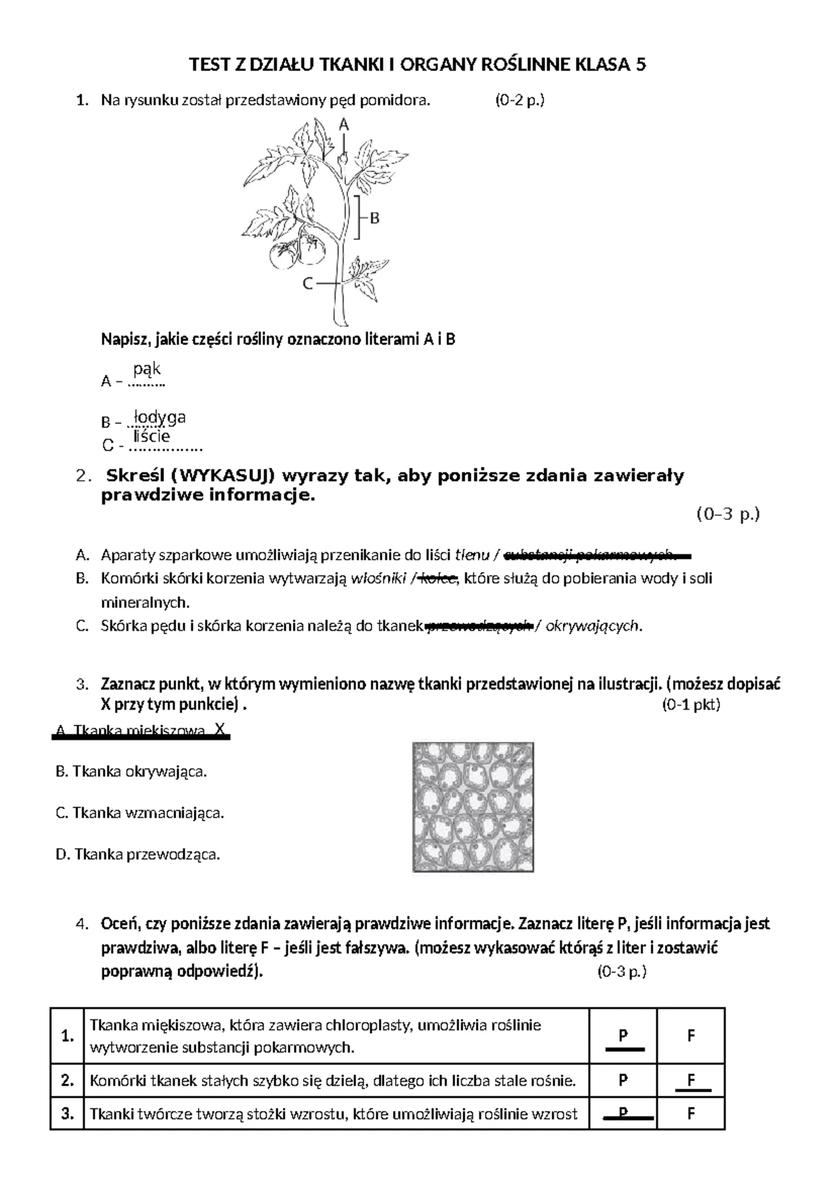 Sprawdzian Z Biologii Kl 5 Dział 1 www.studocu.com