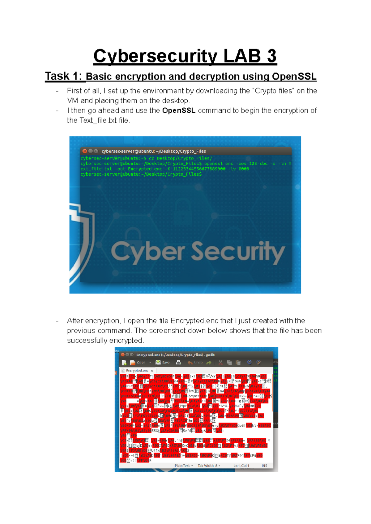 Cybersecurity Lab 3 Week 4 Tutorial Lab Cybersecurity Lab 3 Task 1