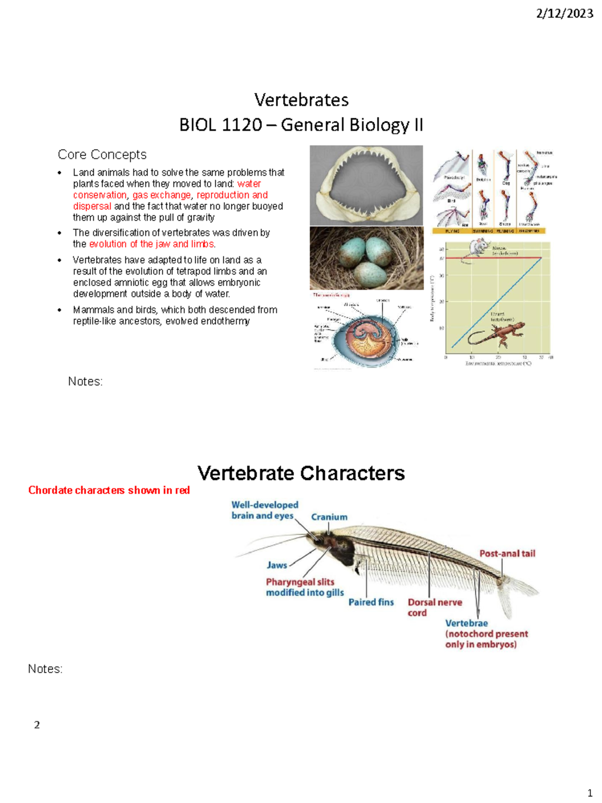 Vertebrate Diversity: Key Concepts and Evolution in BIOL 1120 - Studocu