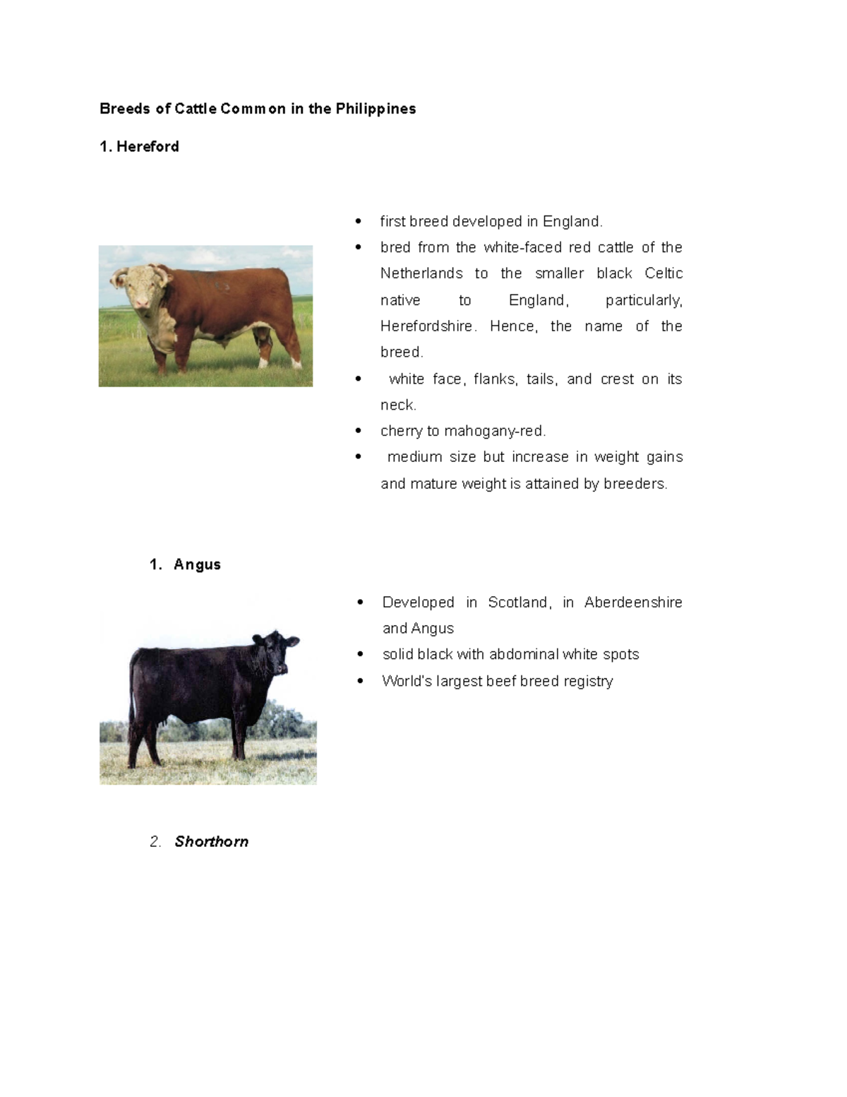 Common Cattle Breeds in the Philippines: Insights and Characteristics ...