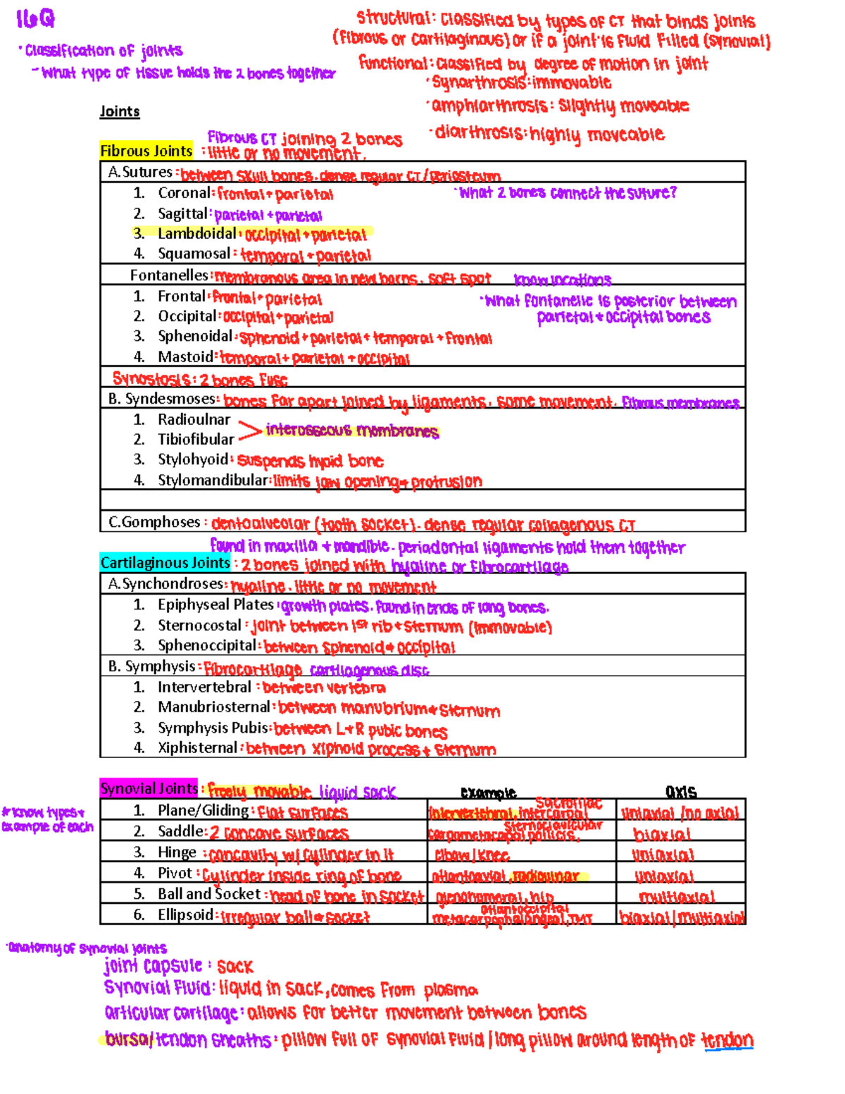 Bio 116 Joint Chart - Joints Fibrous Joints A 1. Coronal 2. Sagittal 3 ...