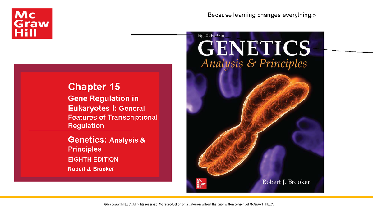 Chapter 15 Lecture Slides: Gene Regulation in Eukaryotes (Genetics ...