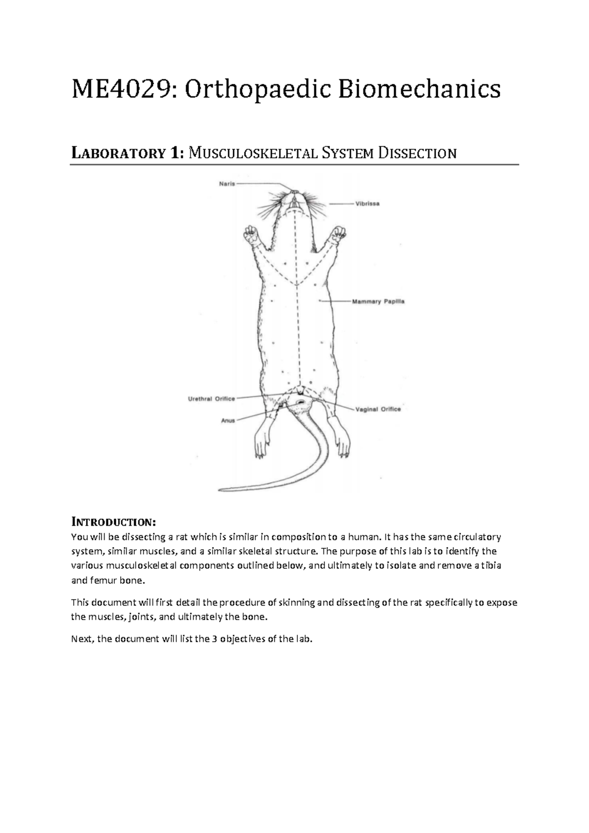 ME4029 Lab 1: Musculoskeletal System Dissection Guide 2023 - Studocu