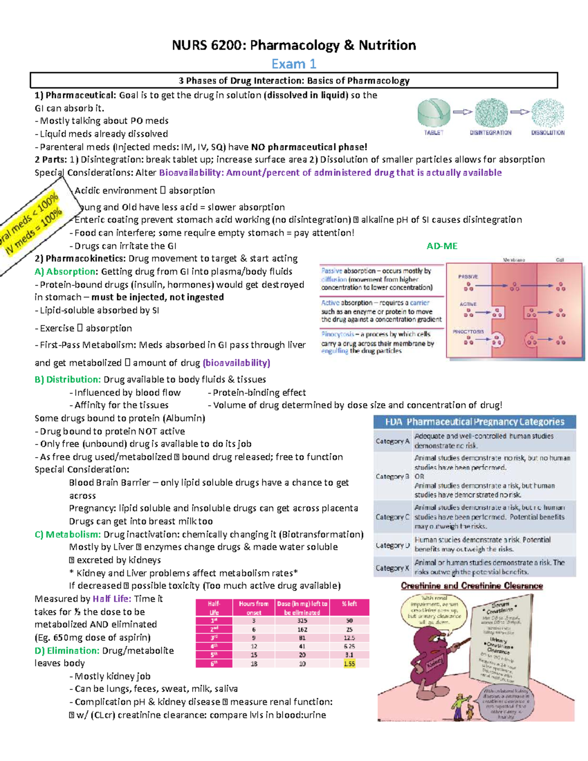NURS 6200: Pharmacology Exam 1 Study Guide on Drug Interactions - Studocu