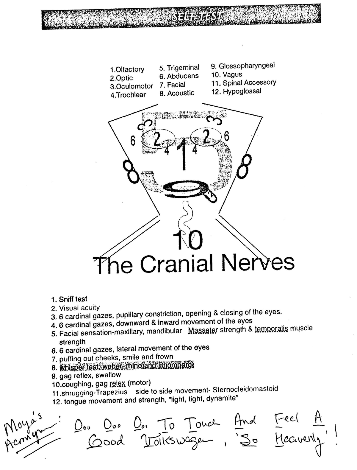 Cranial Nerves Overview: Self Test on CNs and Their Functions - Studocu
