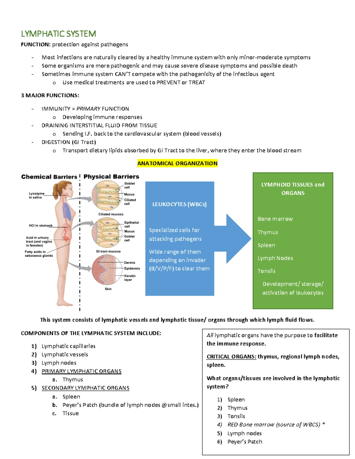 Pediatrics and Palliative Care Study Guide: Milestones & Ethics (PPC ...