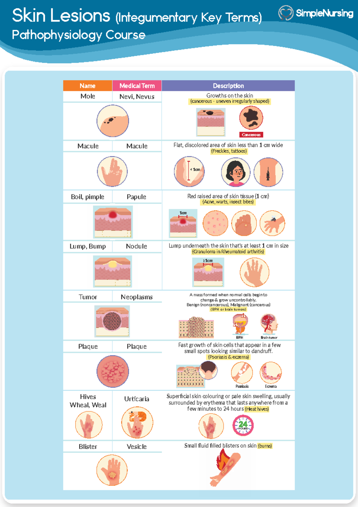 Dermatology Skin Descriptions