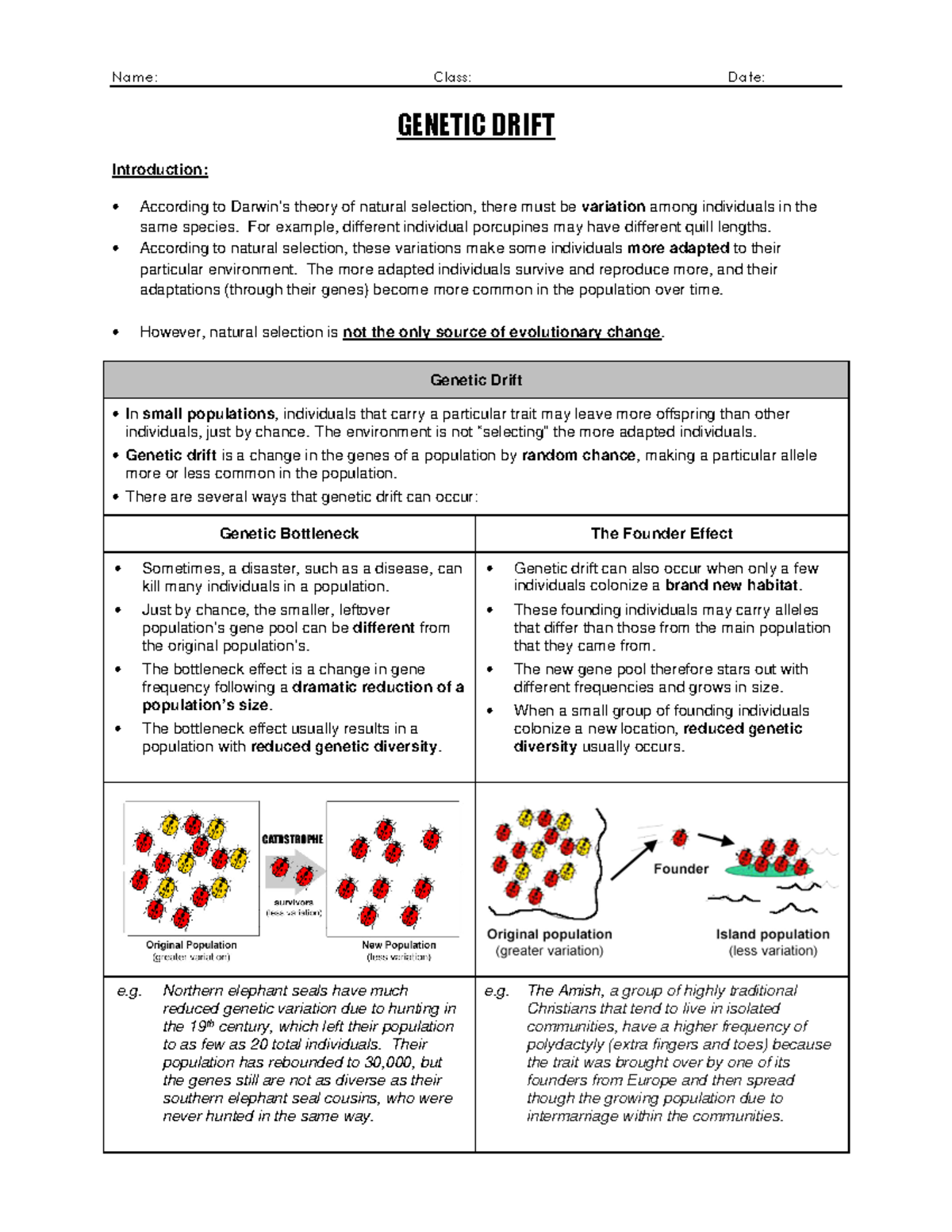What Is Genetic Drift Example
