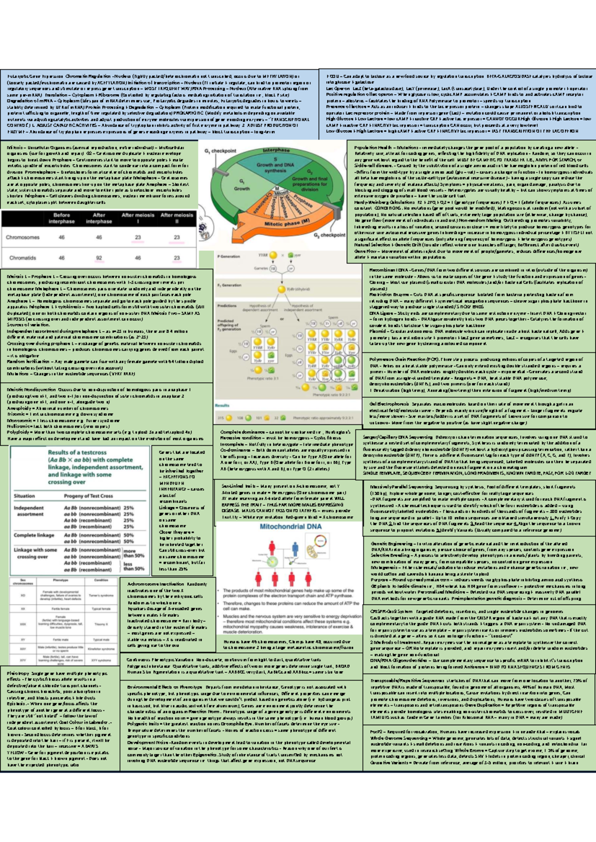B IOSCI 101 Final Exam Study Guide: Gene Expression & Regulation - Studocu