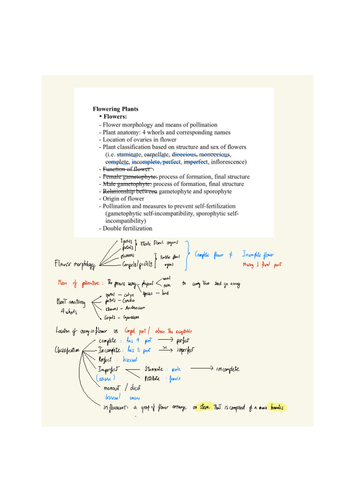 Plant Science Review for Final Exam 1: Flower Morphology & Pollination ...