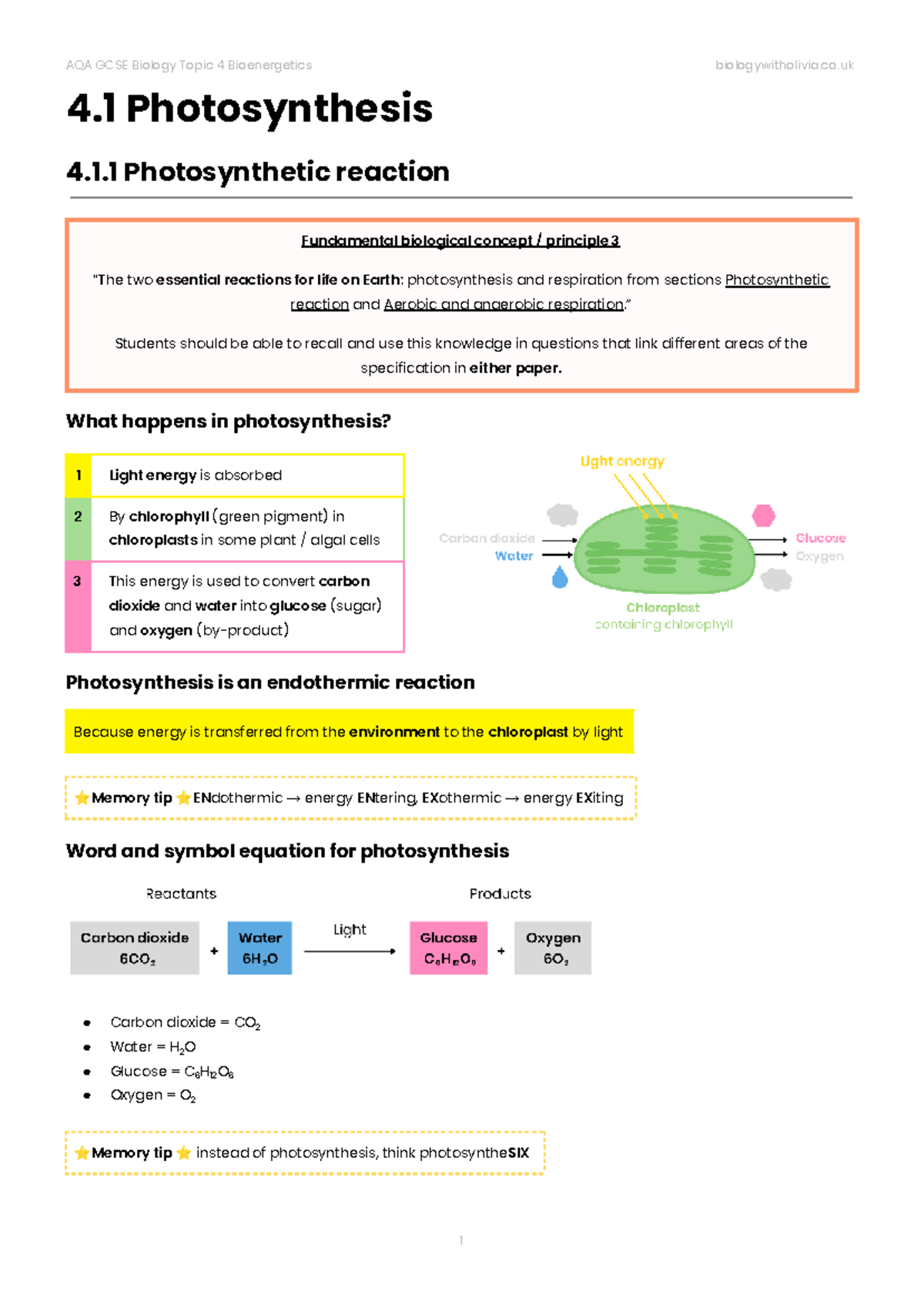AQA GCSE Biology Topic 4: Bioenergetics Overview and Key Concepts - Studocu