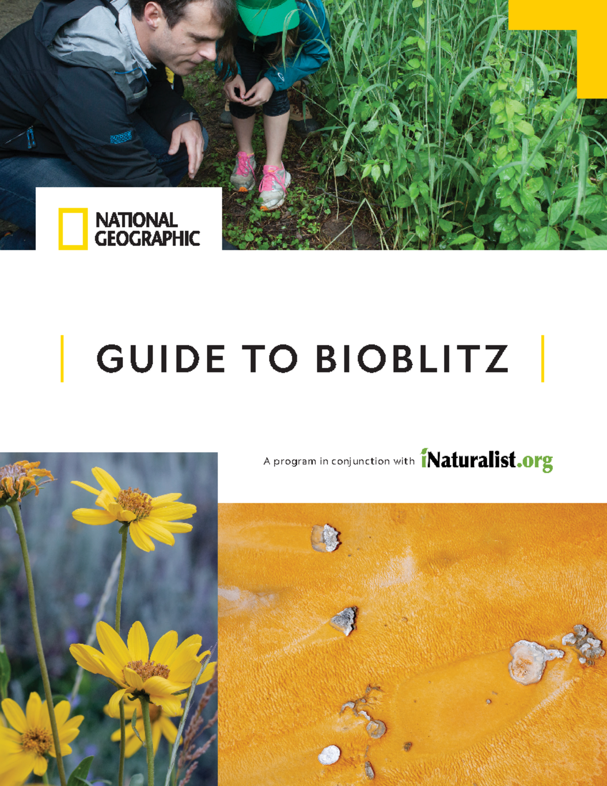 National Geographic BioBlitz Planning Guide: Engaging Communities for ...