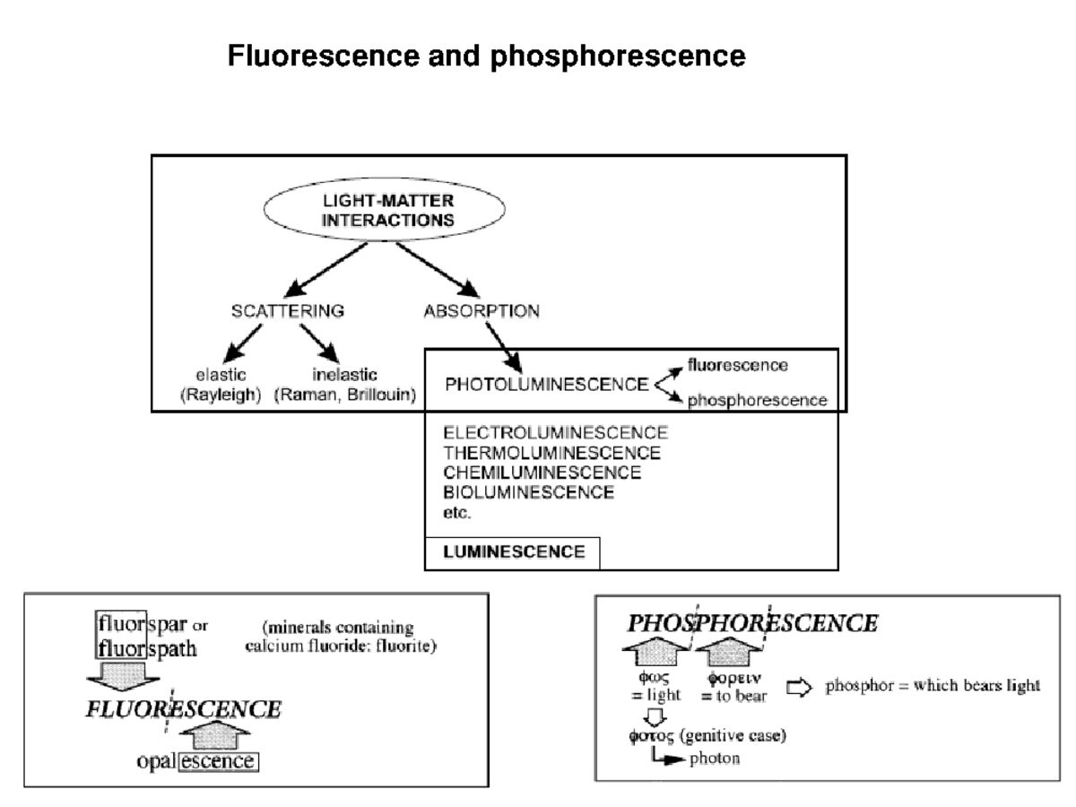 Fluorescence and phosphorescence Notes - Fluorescence and ...