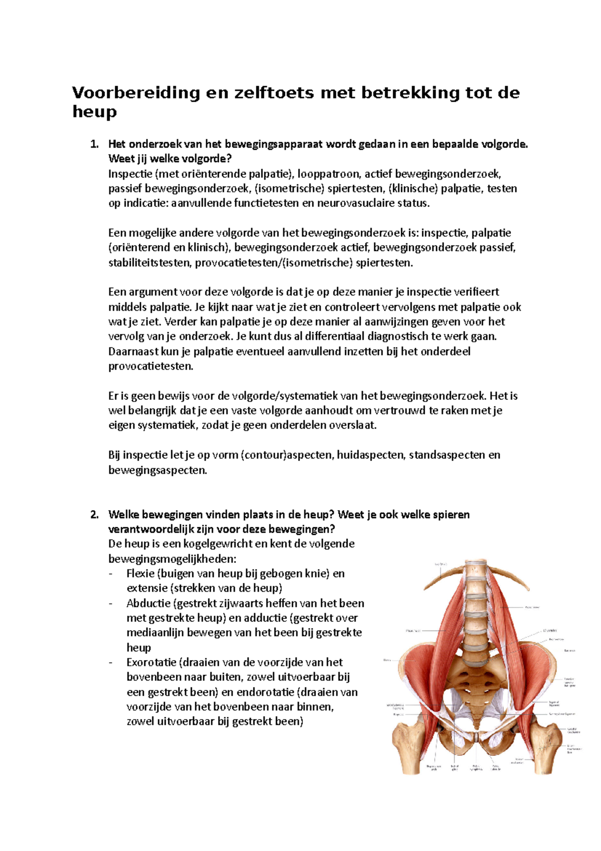 vervolg van het been